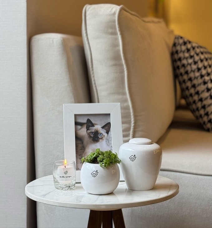 Urna de cerámica de Regazo junto al cuadro con la foto de un gato siamés, sobre una mesa de sala