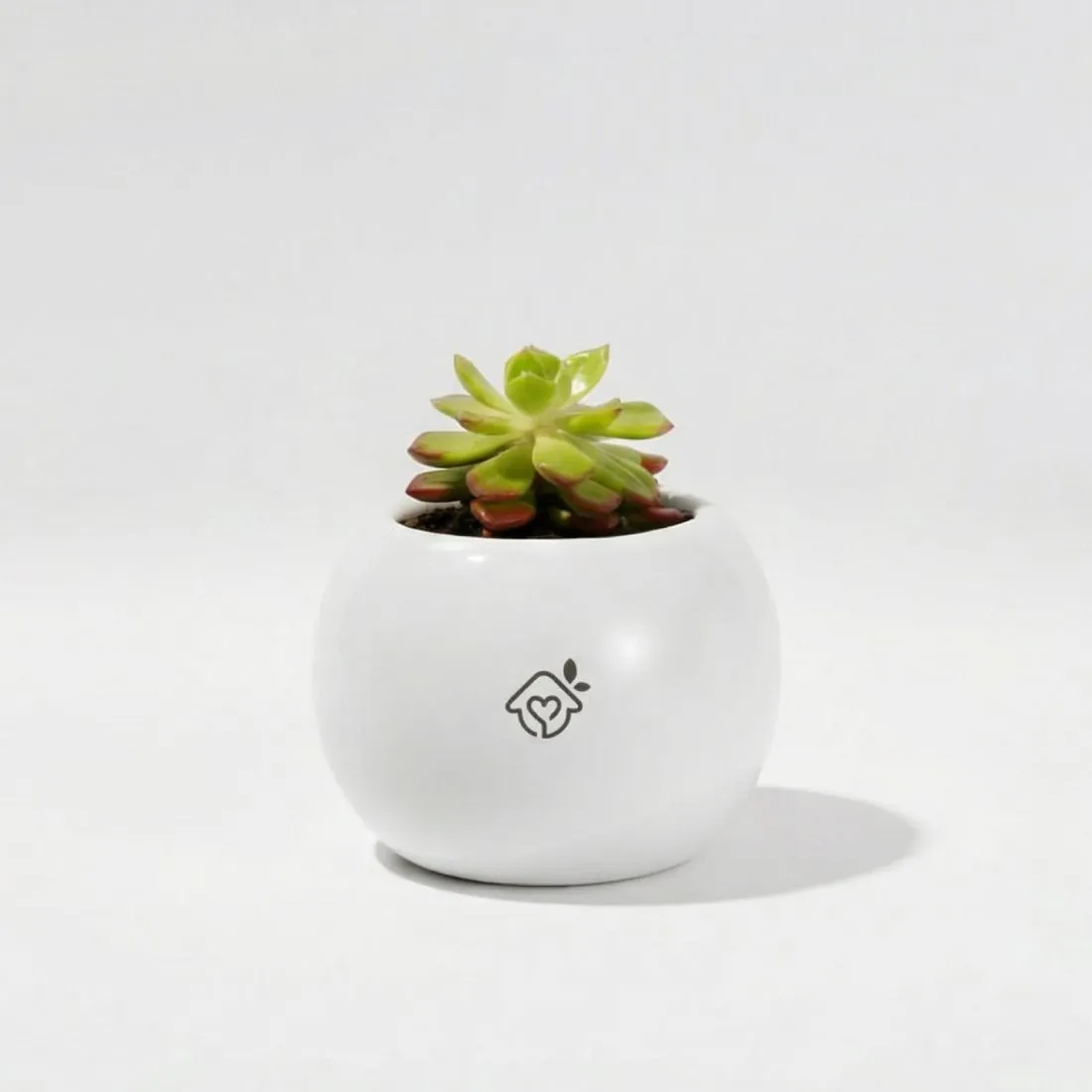 Maceta Esfera
