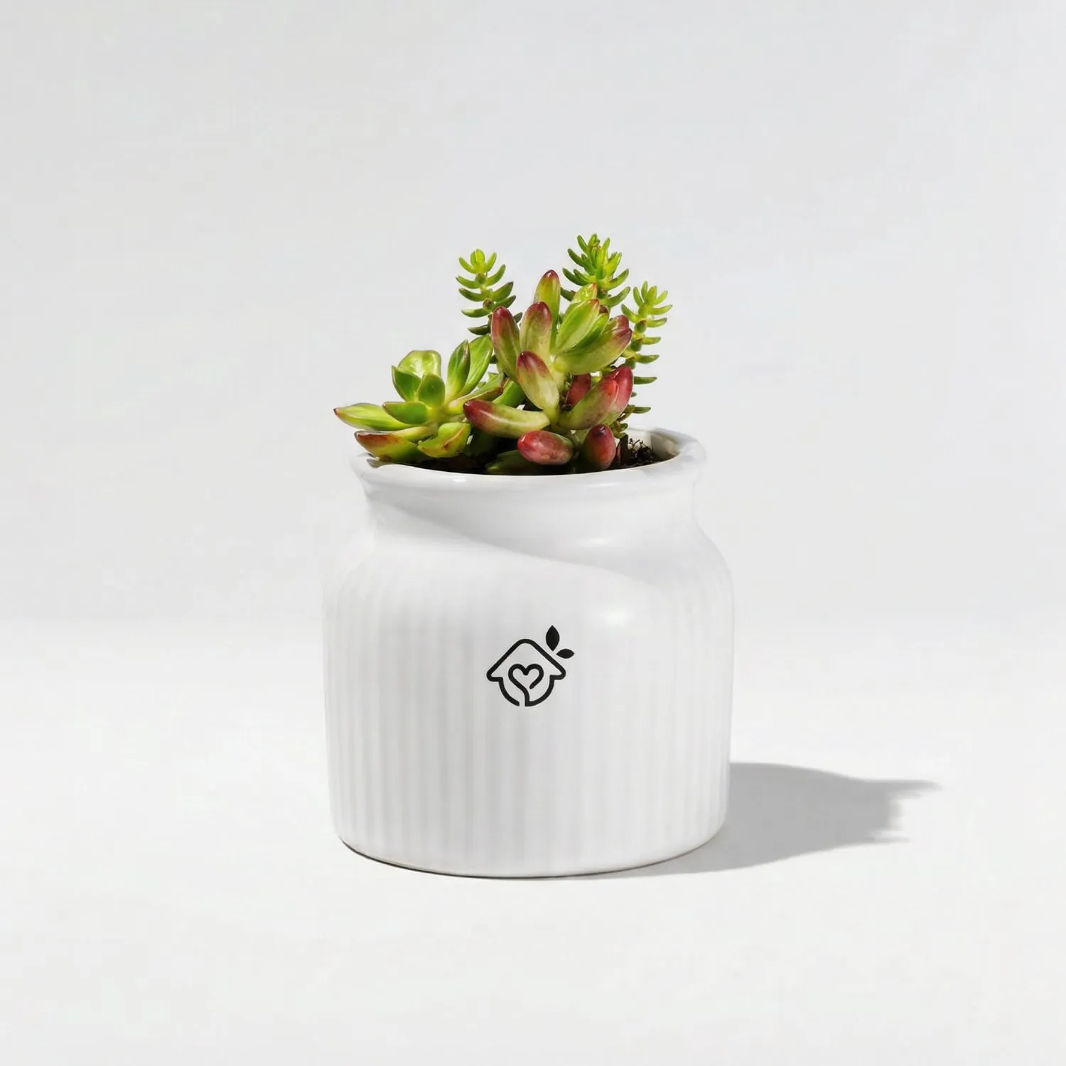 Maceta Luz
