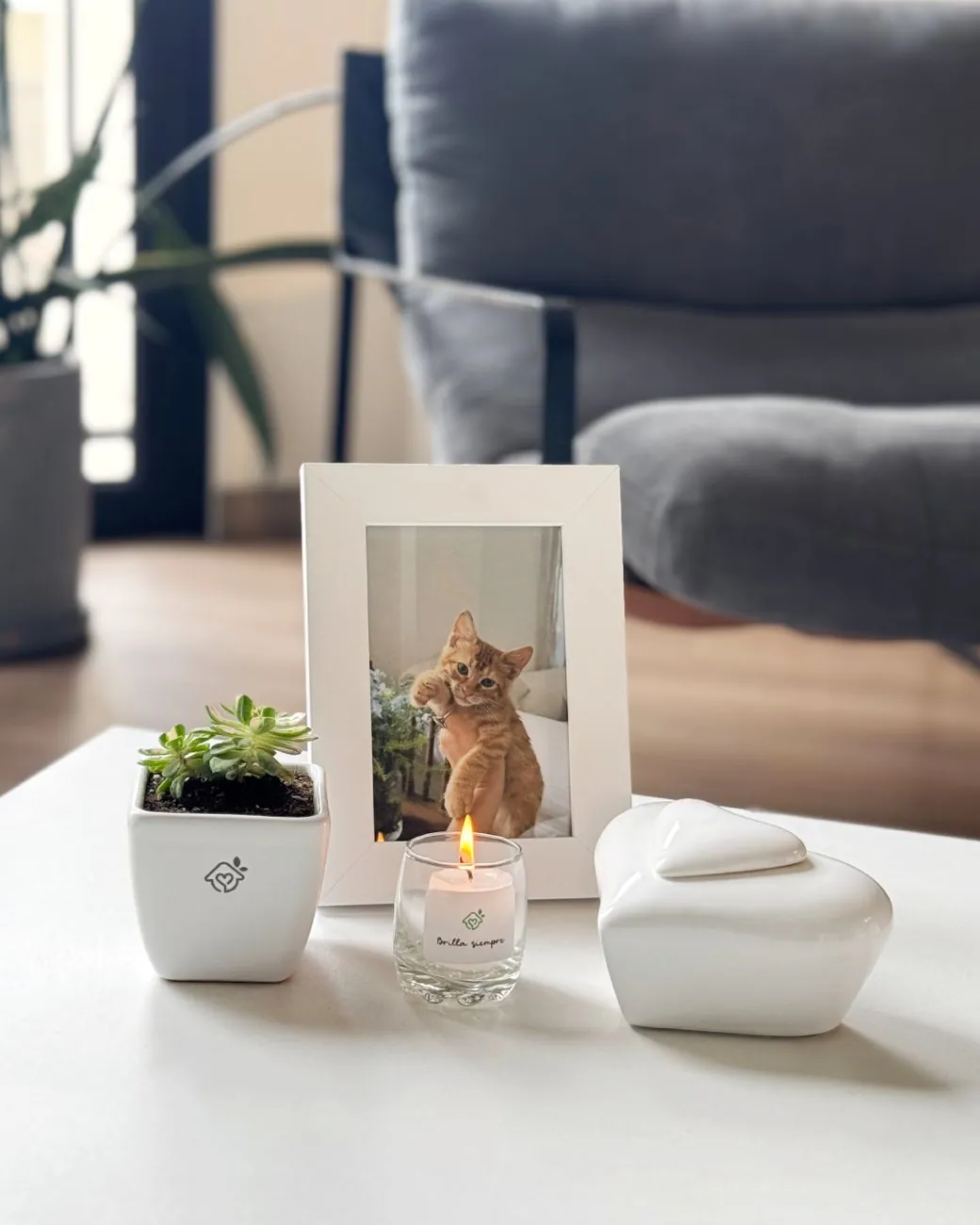 Urna de cenizas y cuadro con foto de un gato en homenaje