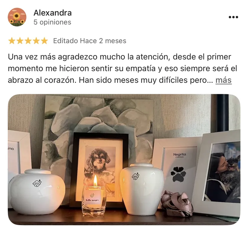 Reseña de Alexandra en Google sobre la cremación de su mascota en Regazo