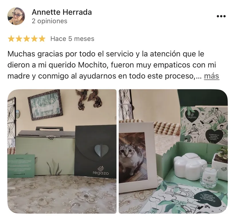 Reseña de Annette Herrada en Google sobre la cremación de su mascota en Regazo