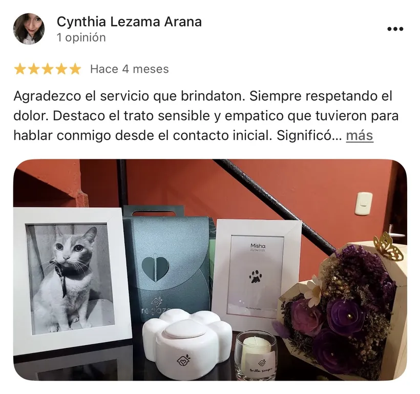 Reseña de Cynthia Lezama Arana en Google sobre la cremación de su mascota en Regazo