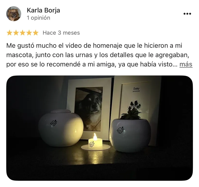 Reseña de Karla Borja en Google sobre la cremación de su mascota en Regazo