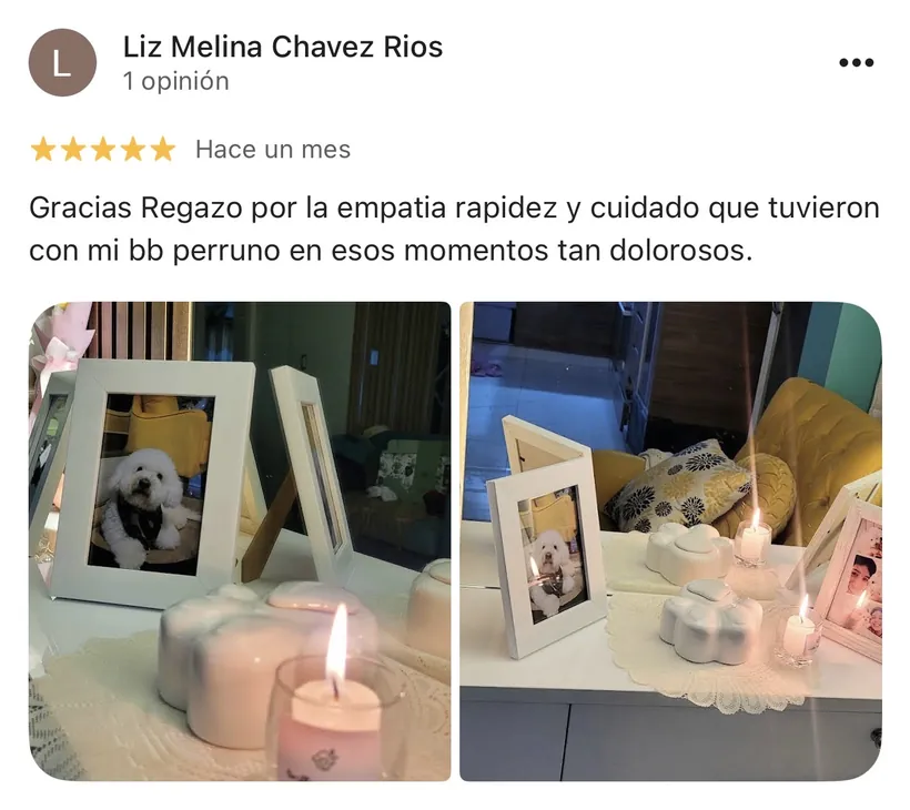 Reseña de Liz Melina Chavez Rios en Google sobre la cremación de su mascota en Regazo