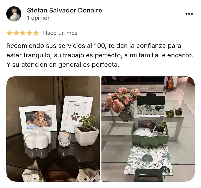 Reseña de Stefan Salvador Donaire en Google sobre la cremación de su mascota en Regazo