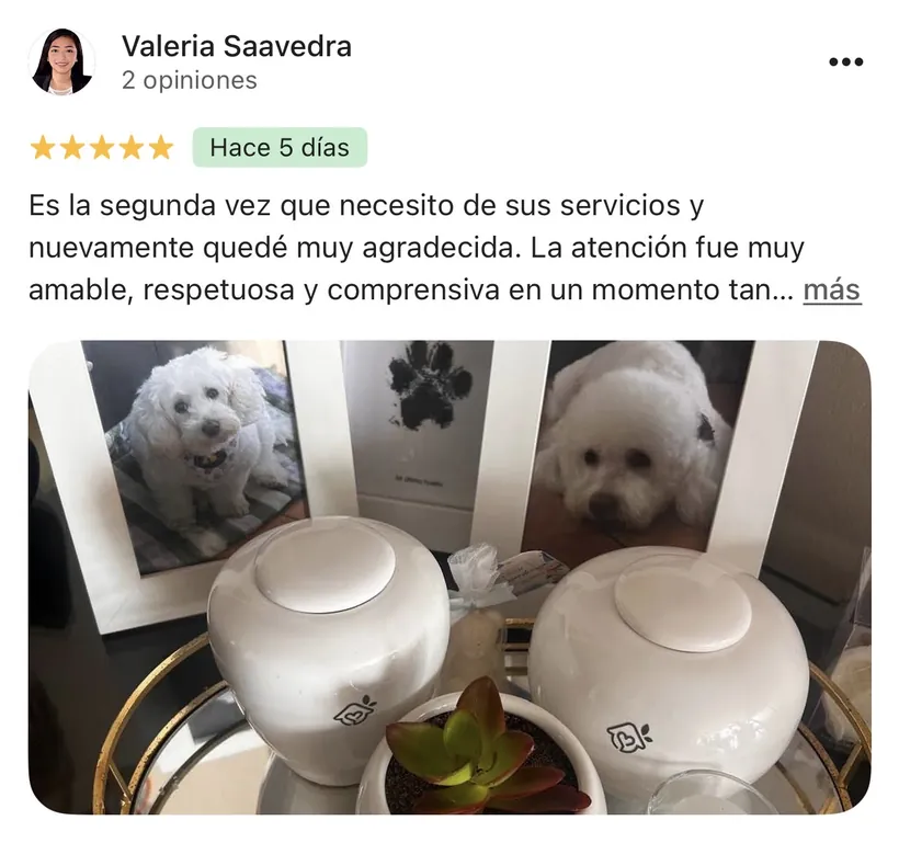 Reseña de Valeria Saavedra en Google sobre la cremación de su mascota en Regazo