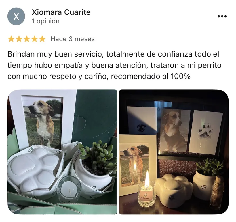 Reseña de Xiomara Cuarite en Google sobre la cremación de su mascota en Regazo