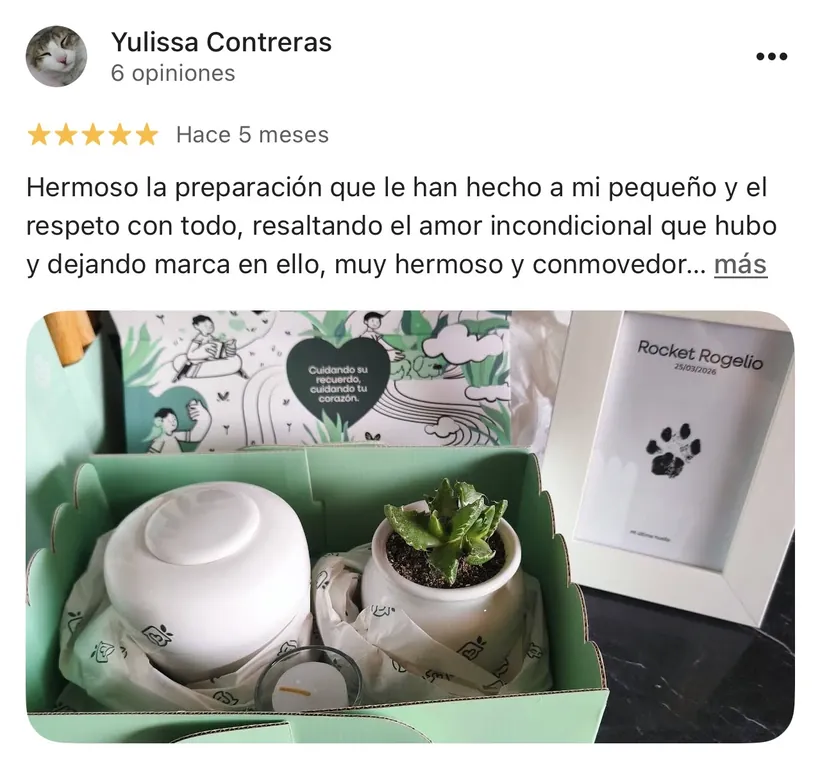 Reseña de Yulissa Contreras en Google sobre la cremación de su mascota en Regazo