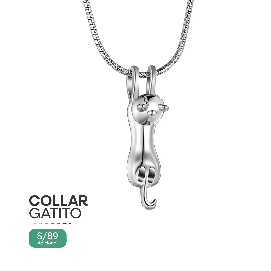 COLLAR-GATITO