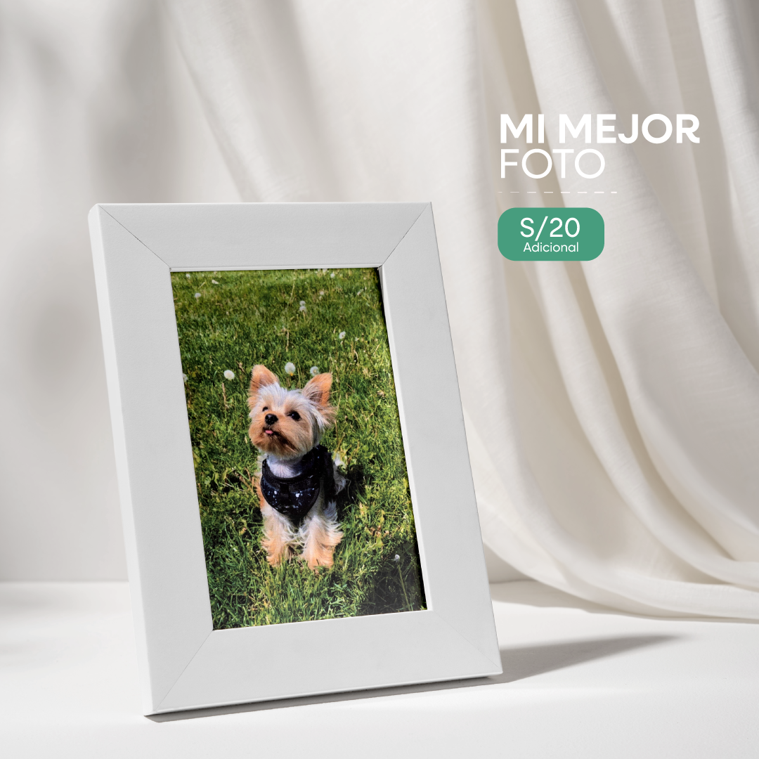 CUADRO-MI-MEJOR-FOTO-CREMACION-DE-MASCOTAS
