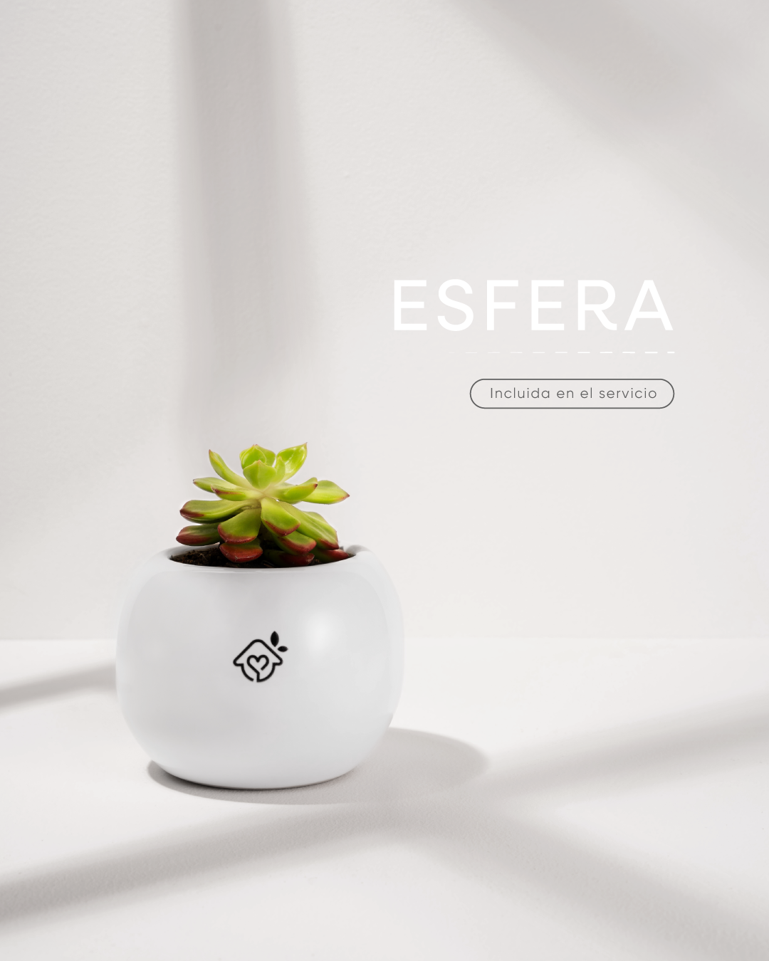 MACETA-ESFERA-CREMATORIO