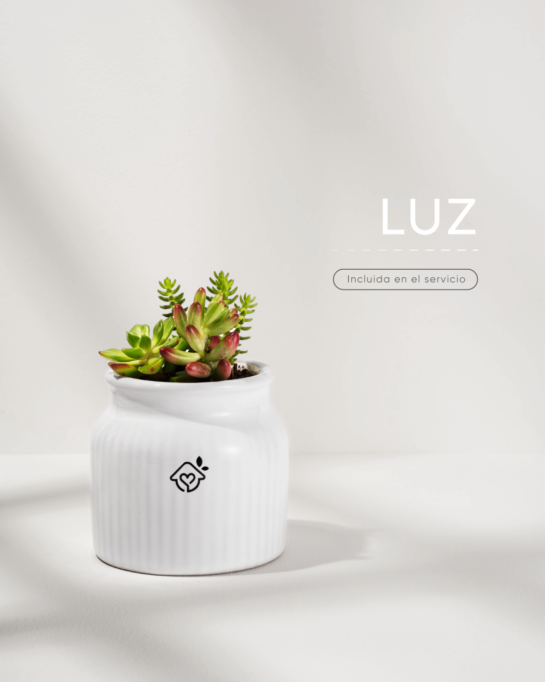 MACETA-LUZ-CREMATORIO