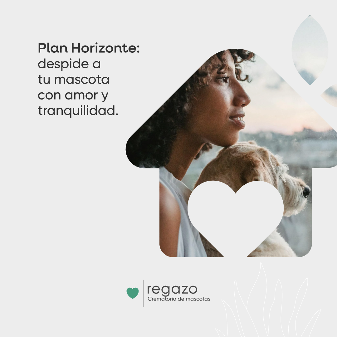 Plan-horizonte-1-cremacion-de-mascotas