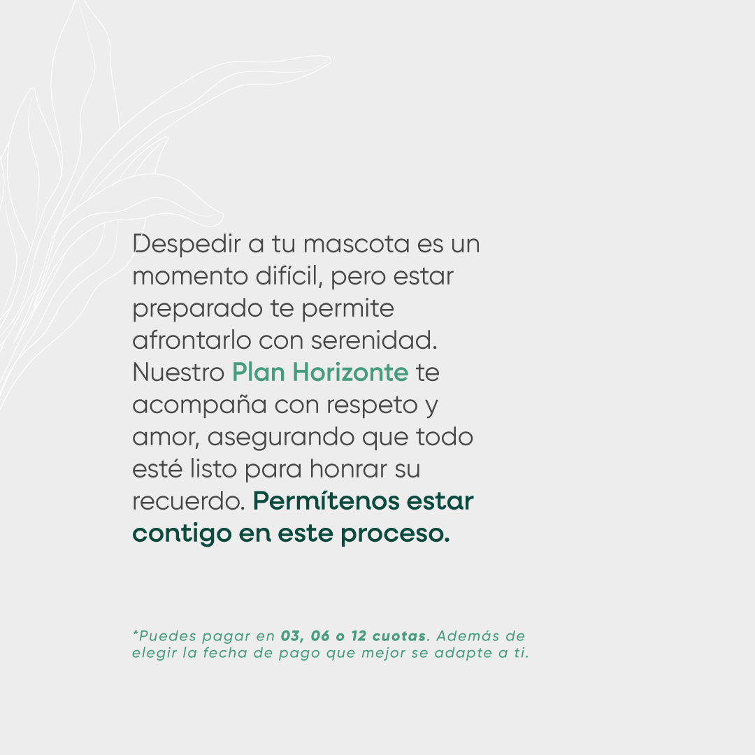Plan-horizonte-2-cremacion-de-mascotas
