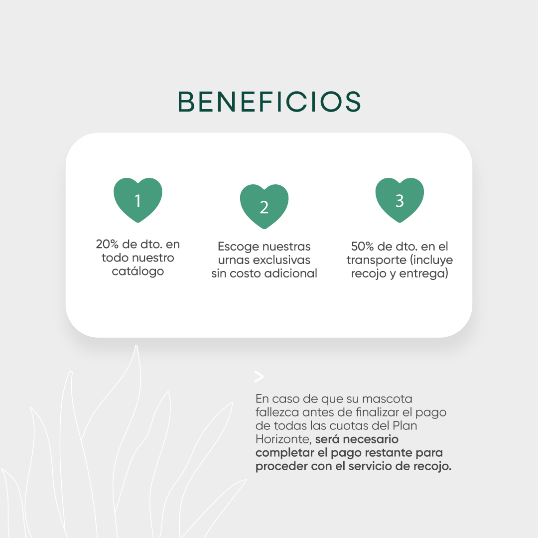 Plan-horizonte-3-cremacion-de-mascotas