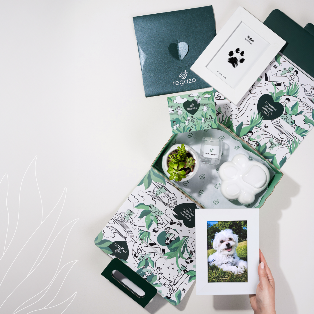 packagin-cremacion-de-mascotas