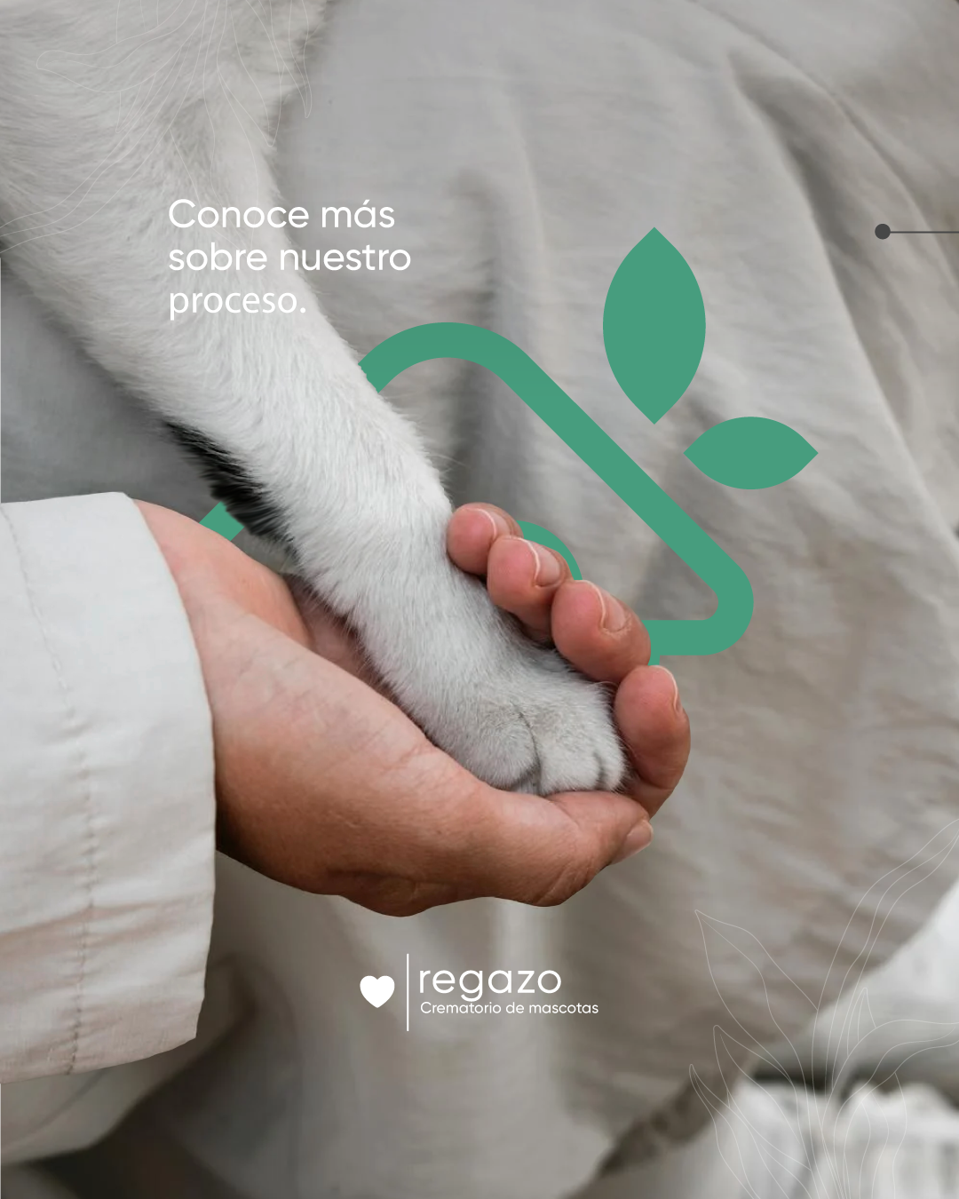 proceso-1-cremacion-de-mascotas