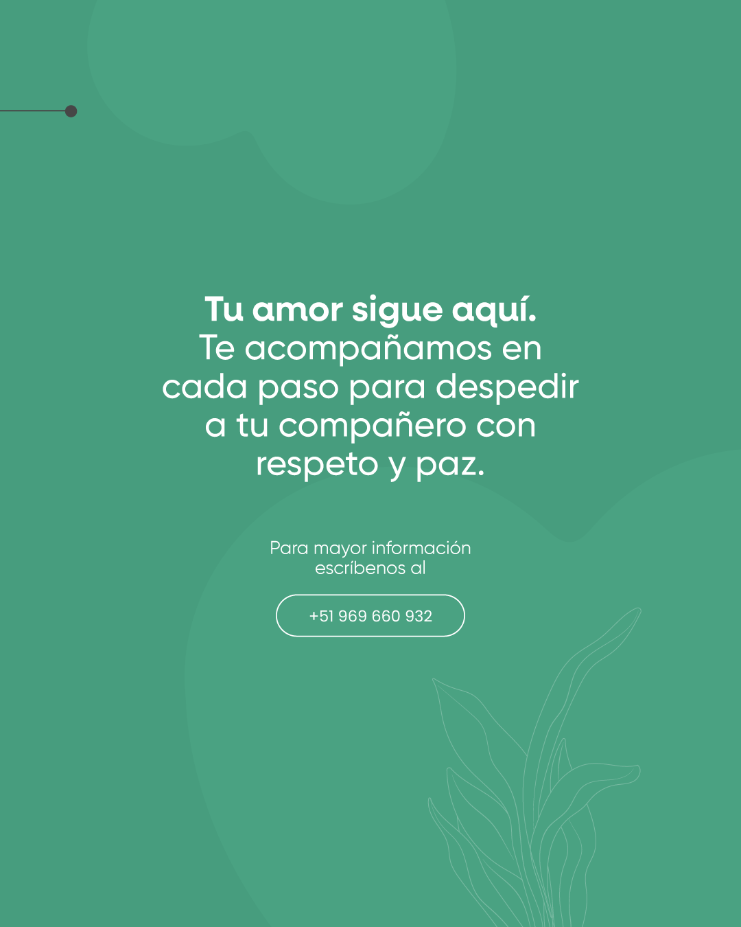proceso-4-cremacion-de-mascotas