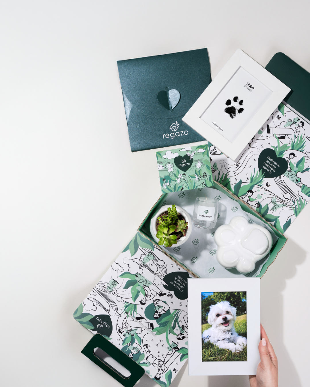 Servicio de cremación de mascotas en Lima